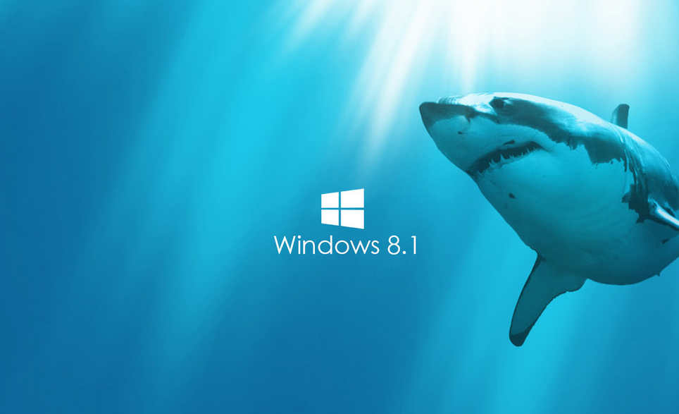 Lịch sử Windows 8.1 Single Language